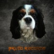 Bruto Records