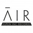 Aspen Inc Records