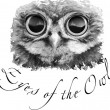 Eyes Of The Owl