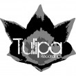 Tulipa Recordings
