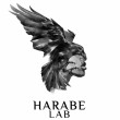 Harabe Lab