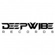 Deepwibe Records