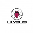 Ulybug Records