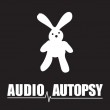Audio Autopsy