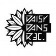 Daisy Dans Records