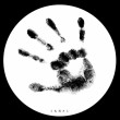 SUEVI Records
