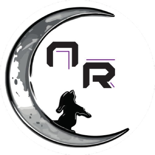 Nachtwandler Records logotype