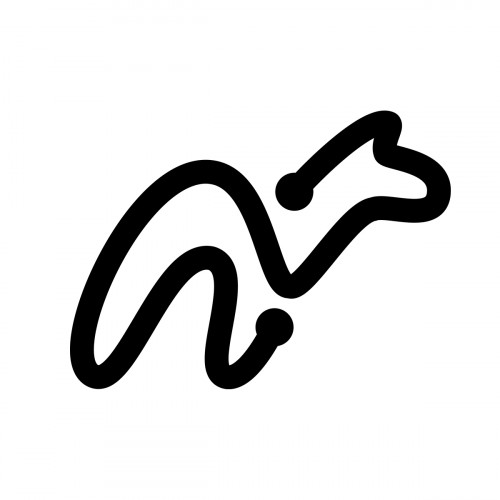 CamelMusic Records logotype
