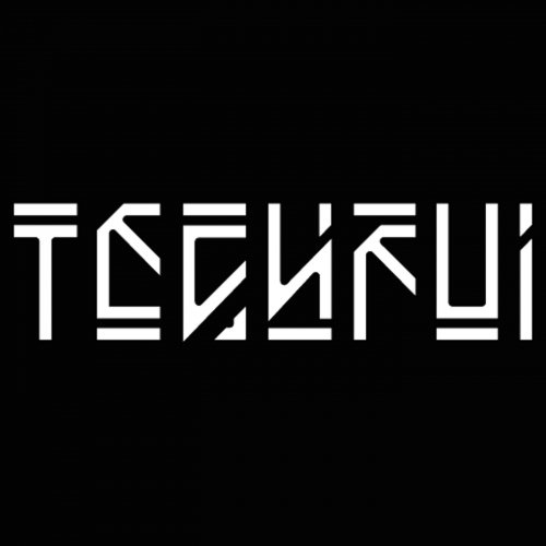 TECHFUI logotype