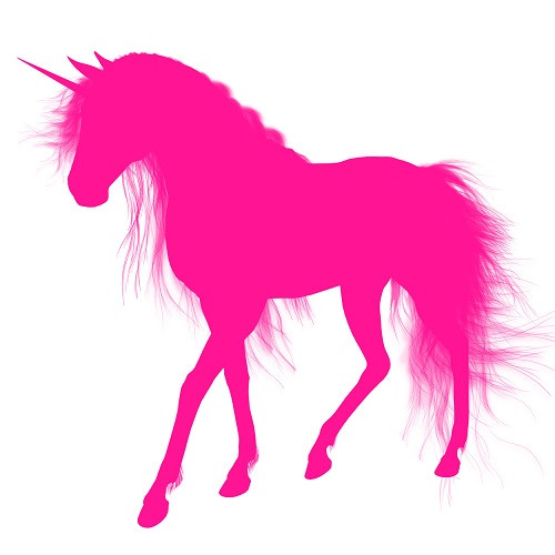 Pink Unicorn Records logotype