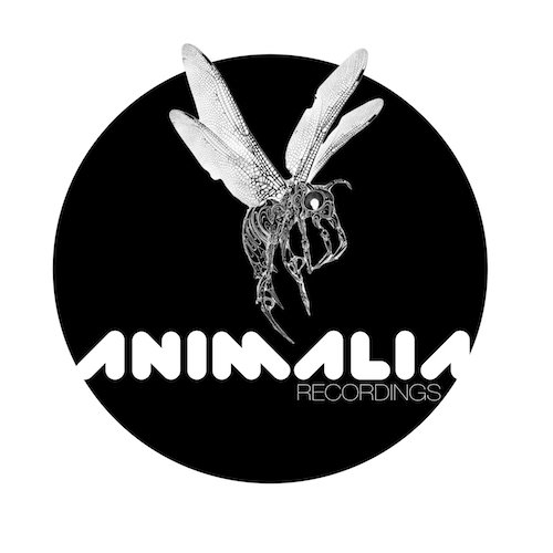 Animalia Recordings logotype