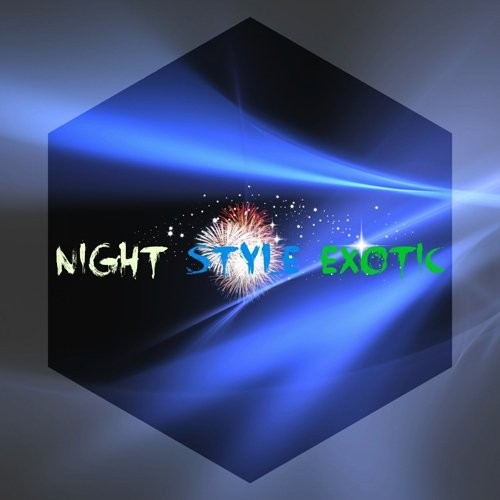 Night Style Exotic logotype