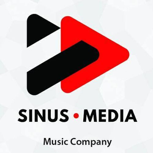 Sinus Media logotype