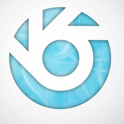 BlueBird logotype