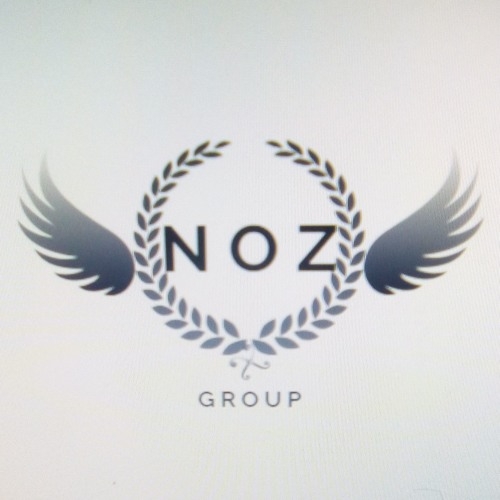 N O Z logotype